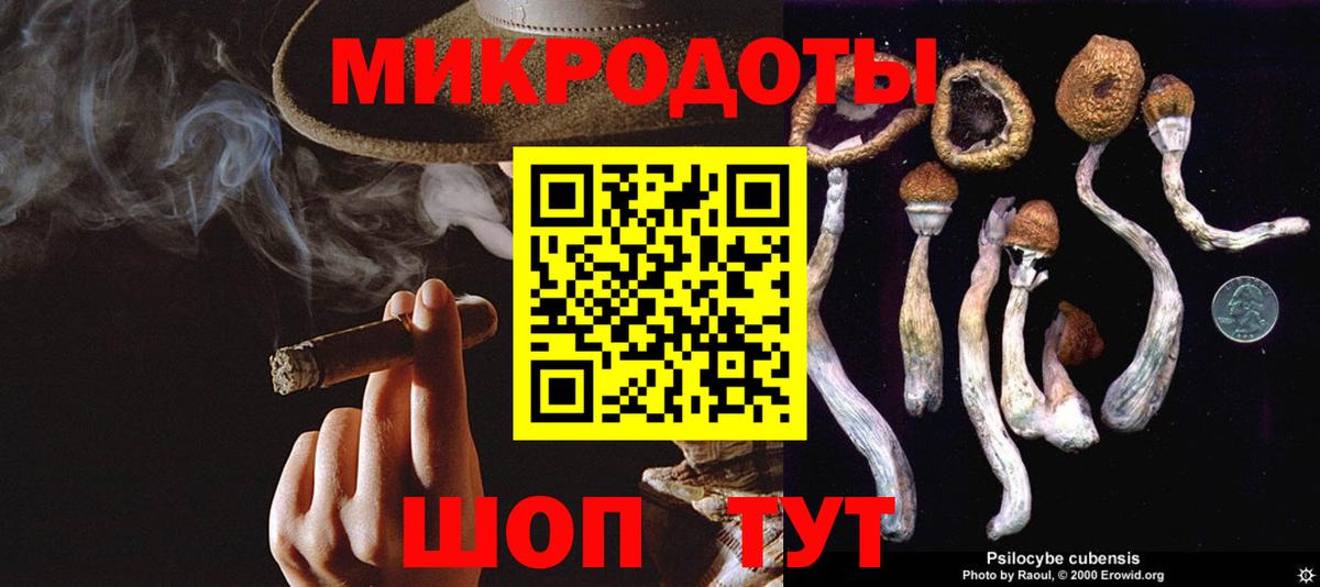 Псилоцибиновые грибы Psilocybine cubensis  Вход с VPN  Красноуфимск  Псилоцибиновые грибы прущие грибы 